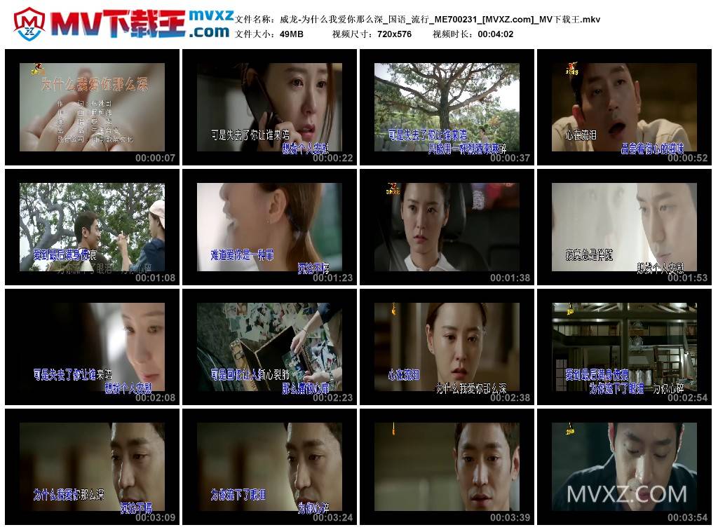 威龙-为什么我爱你那么深_国语_流行_ME700231